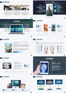 精品项目评估公司介绍商业计划书PPT模板——熊猫办公应用软件服务