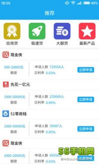 资金周转应用软件服务 苹果版与安卓版下载指南